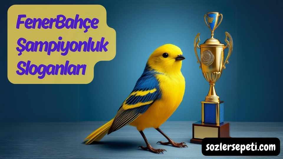 Fenerbahce sampiyonluk sloganlari